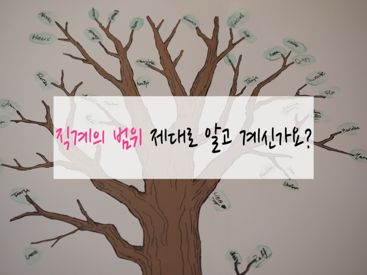 [체험] 직계 범위 - 직계존속, 직계비속, 방계혈족 정의와 관계 파헤치기