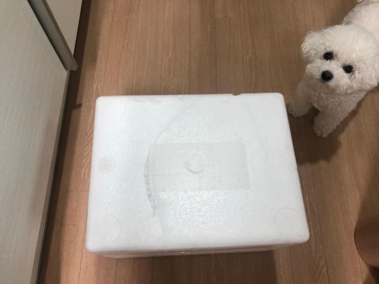  마카롱 여사 추천! 참조기표 어묵 후기 (내돈내산)