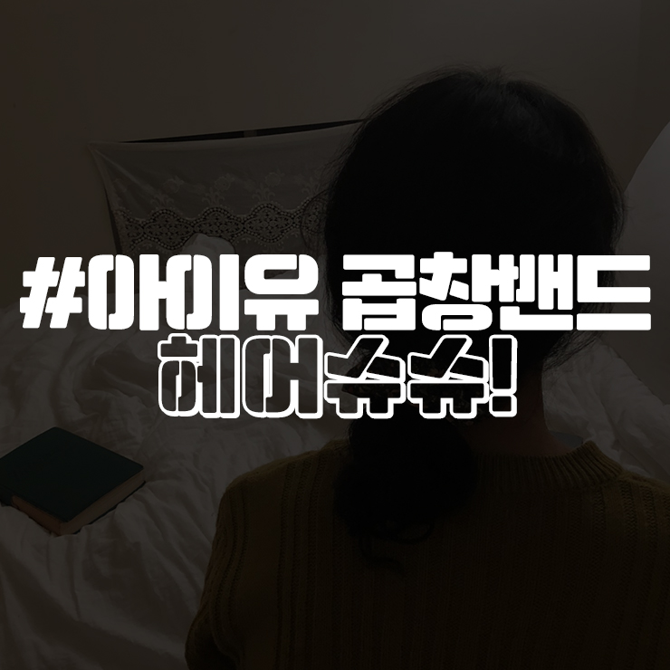  아이유 곱창밴드 헤어슈슈 연예인도 픽한 아이템!