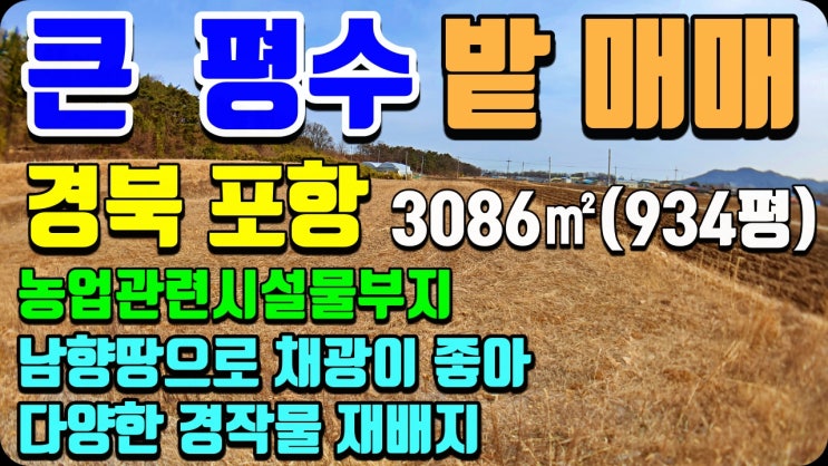 포항 송라면 토지매매 남향 땅의 밭 농지매매 (촌땅 시골땅 시골집매매 촌집매매  전원주택매매 급매 전문 착한부동산)