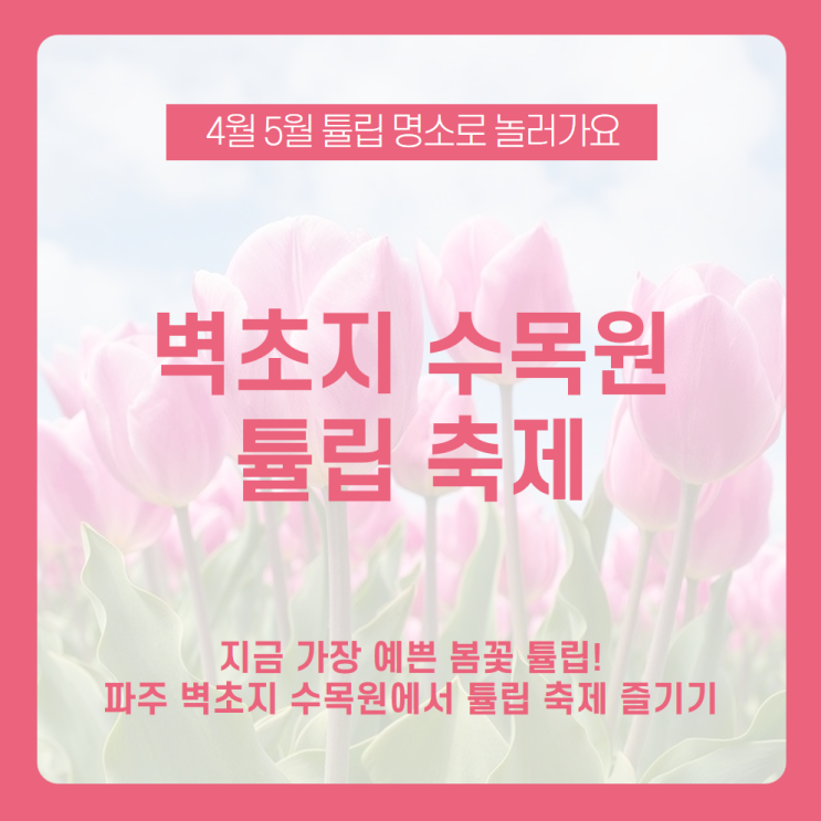 [파주 벽초지수목원 튤립축제 소개] 파주에서 만개한 튤립 배경으로 인생샷 찍어보자! 파주 벽초지수목원 튤립축제 /4월 꽃축제, 5월 꽃축제, 튤립축제, 튤립명소, 파주 가볼만한곳