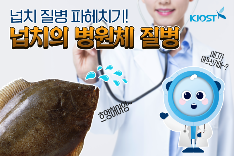 넙치 질병 파헤치기! 넙치의 병원체 질병 : 네이버 블로그