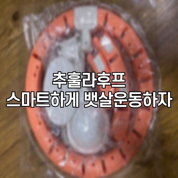  추훌라후프 스마트하게 뱃살운동하자