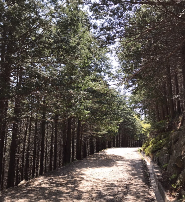 나만의 알찬 하루 만들기 프로젝트 (20일차)