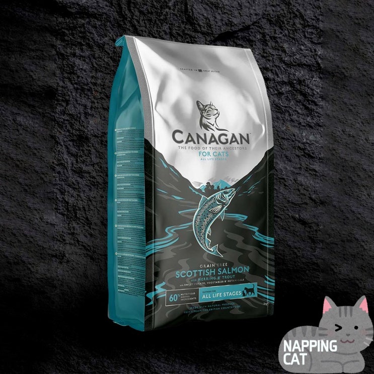 의외로 인기있는 네핑캣 l 카나간 스코티쉬 살몬 포 캣 8kg 고양이사료 대용량 고양이밥 추천합니다