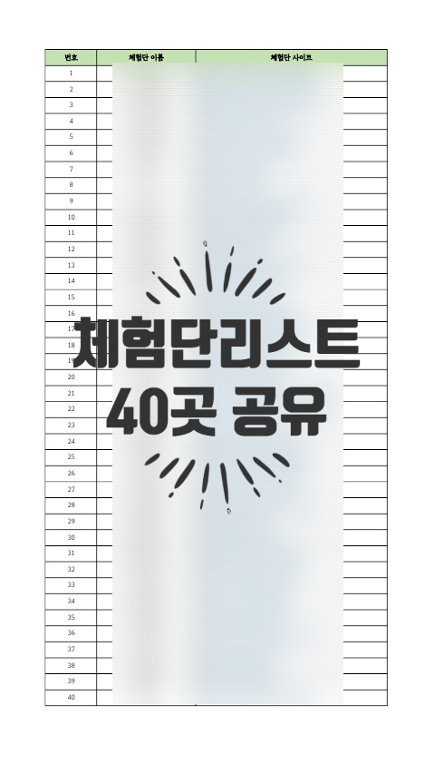  맛집 지역 상품 블로그체험단사이트 40곳 공유