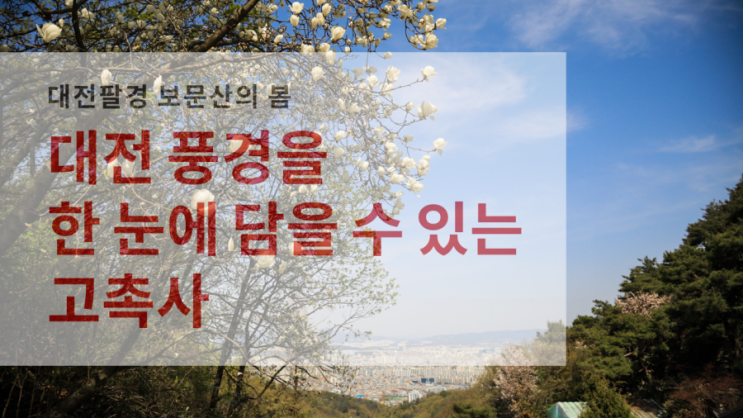 봄이 내려앉은 대전팔경 보문산 고촉사로 가는 길