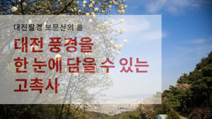  봄이 내려앉은 대전팔경 보문산 고촉사로 가는 길
