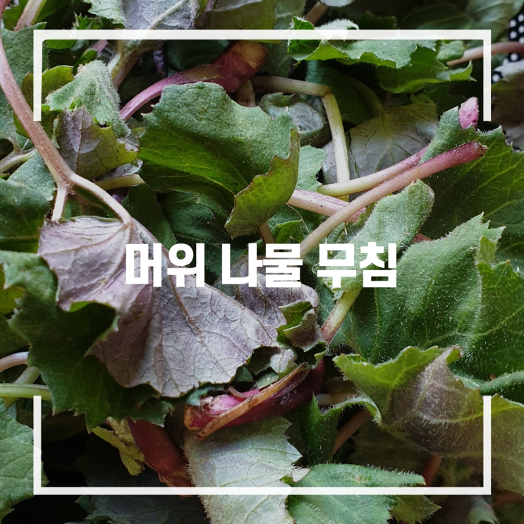  머위 나물 무침