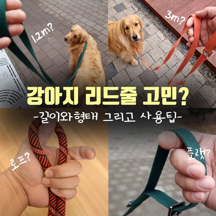 강아지목줄 길이 선택방법 - 보듬리드줄, 유봉펫, 플렉시자동줄, 와일드독
