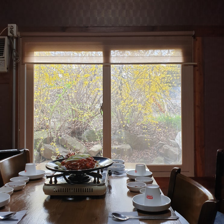  룸이 있는 파주읍 맛집 파주석갈비, 철조망 핫플 포비 DMZ 카페
