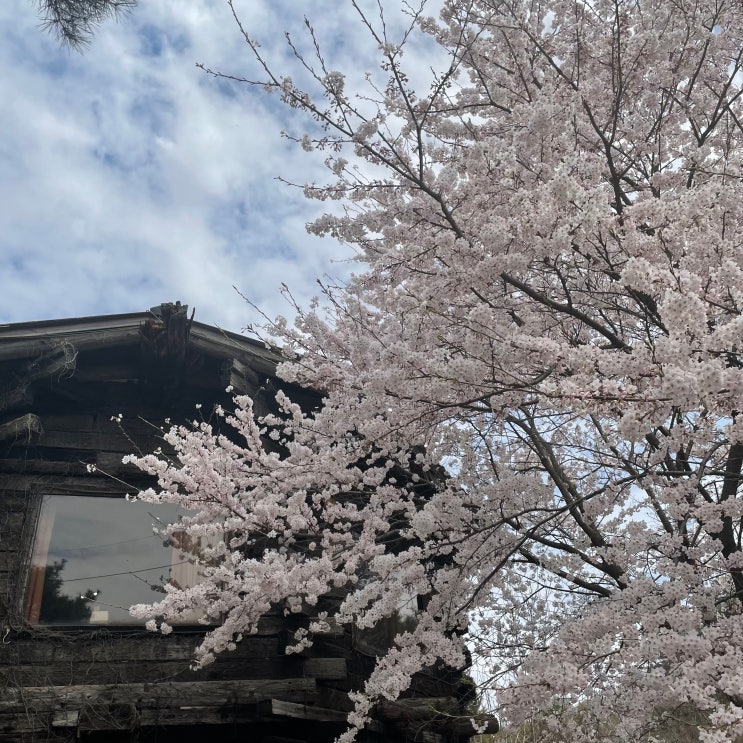  서산 온석동) 작은 행복 레스토랑(돈가스)
