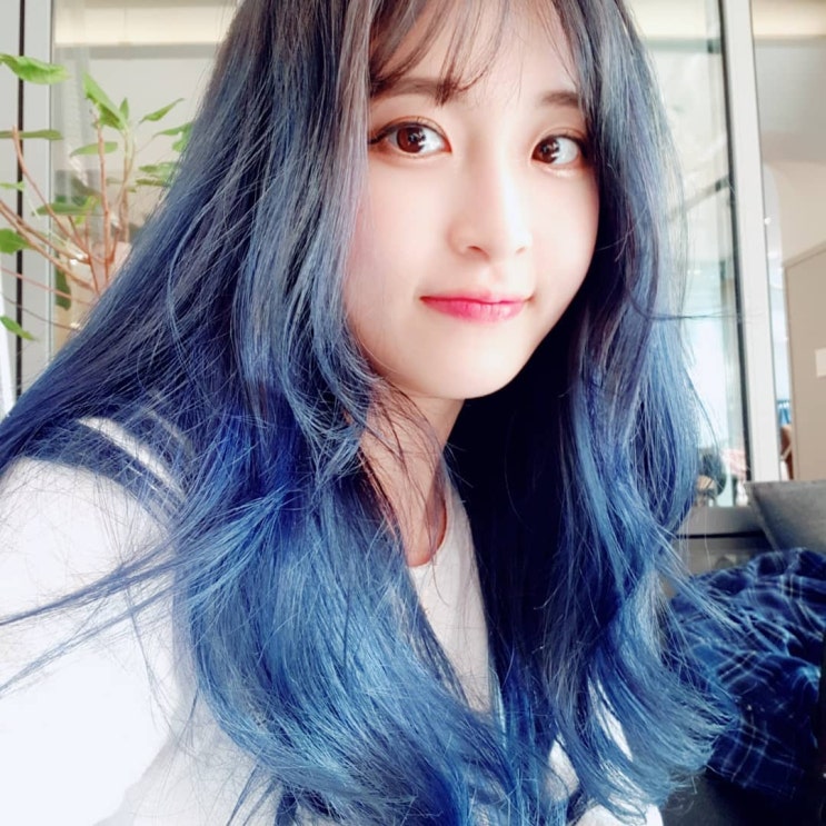 bj양팡