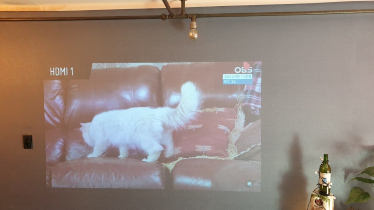  서초구 반포동 자취방 빔프로젝터 LG HF60LA TV대신 거실 빔프로젝트 설치