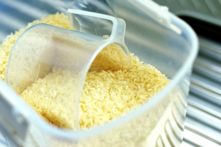 쌀 씻는법, 불리는 시간, 쌀뜨물 보관 부터 전기밥솥 밥 물조절 하는법 까지