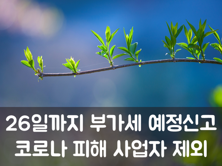  26일까지 부가세 예정신고…코로나 피해 사업자 제외