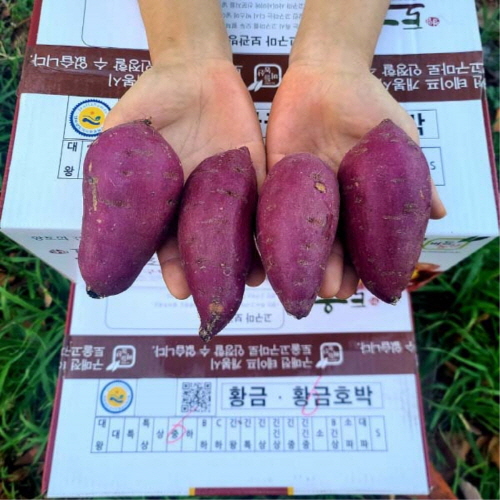 리뷰가 좋은 영암 토울고구마 고구마 꿀고구마 (사이즈별) 3kg 5kg 10kg, 상 좋아요 리뷰가 좋은 영암 토울고구마 고구마 꿀고구마 (사이즈별) 3kg 5kg 10kg, 상 좋아요