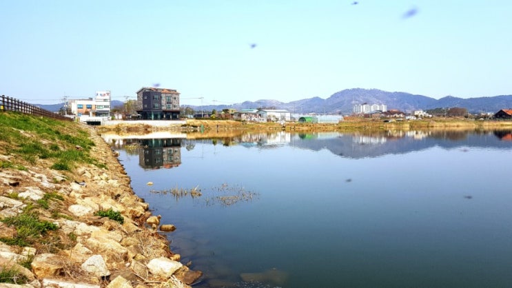  4월11일 서산 저수지인 잠홍저수지 , 잠홍지 배스 매드베이트 해머 채터베이트