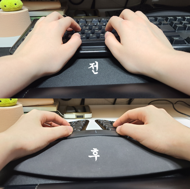  인체공학 키보드 / 마이크로소프트 스컬프트 키보드 사용 후기 내돈내산!