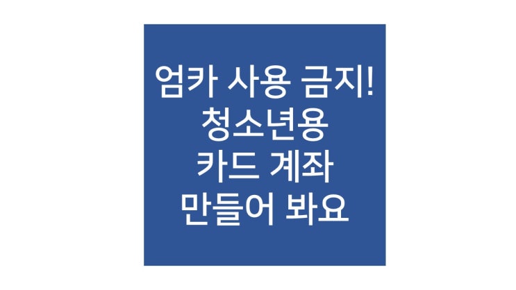  엄카 멈춰!이제 용돈 카드 쓰면서 경제공부하자