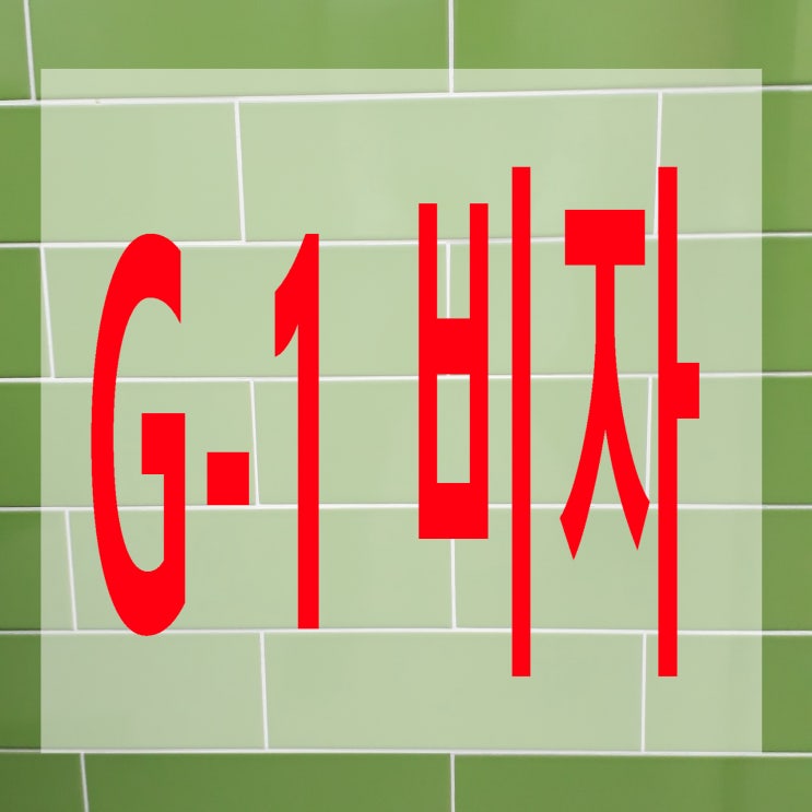  G-1(G1)비자 발급받기(병치료, 소송, 난민 등)