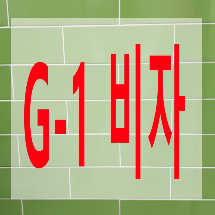 G-1(G1)비자 발급받기(병치료, 소송, 난민 등)