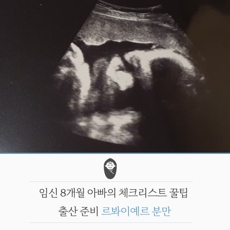  임신 8개월 아빠의 체크리스트 꿀팁. 출산 준비 르봐이예분만법