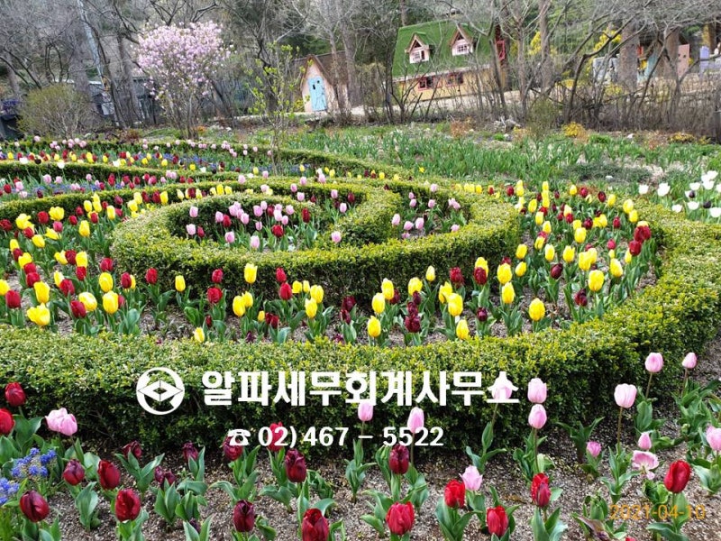 2021년 제1차 고정부가가치세 신고안내-성동지방세무사 2