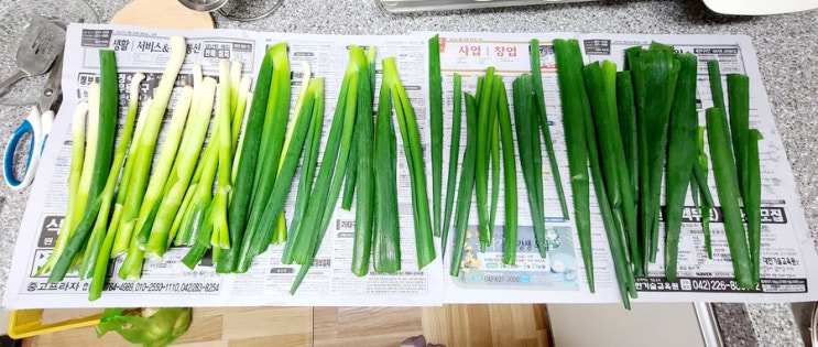  금쪽같은 대파 한쪽도 버릴 수 없다!!! 나도 파테크한다. 대파보관 이렇게 해요.