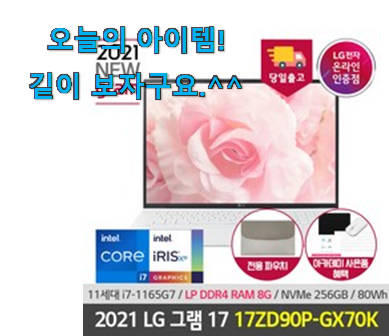 전문가추천 lg 노트북 그램 17인치 i7 굉장한 물건 강추! 전문가추천 lg 노트북 그램 17인치 i7 굉장한 물건 강추!
