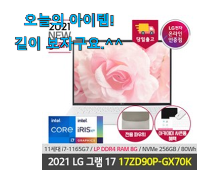 전문가추천 lg 노트북 그램 17인치 i7 굉장한 물건 강추!