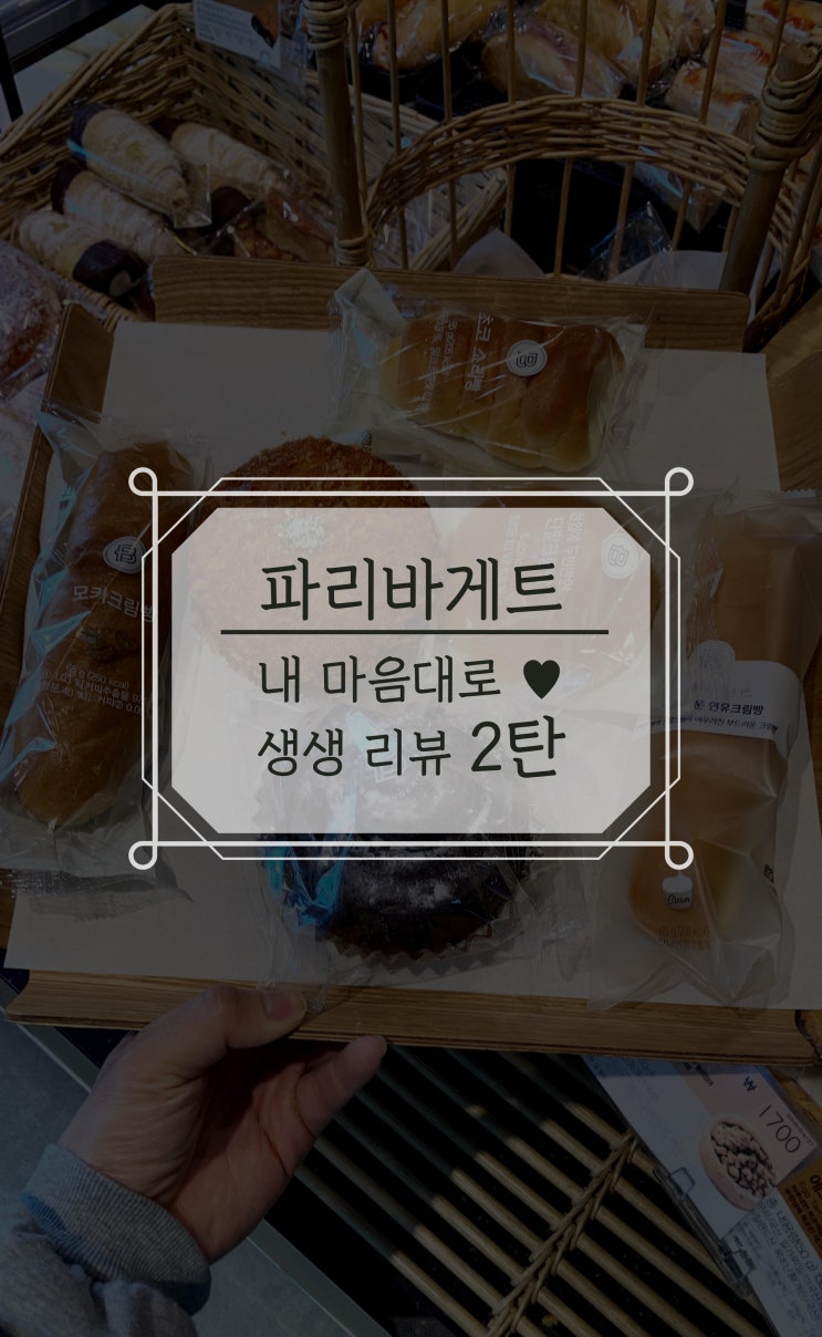  파리바게트 만원의 행복 2탄, [더블초코, 단팥크림빵, 야채감자고로케]