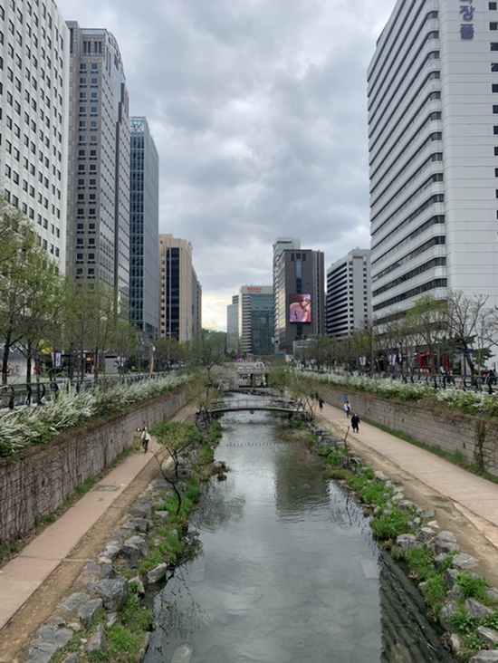  210404 일요일 일상, 종로 나들이
