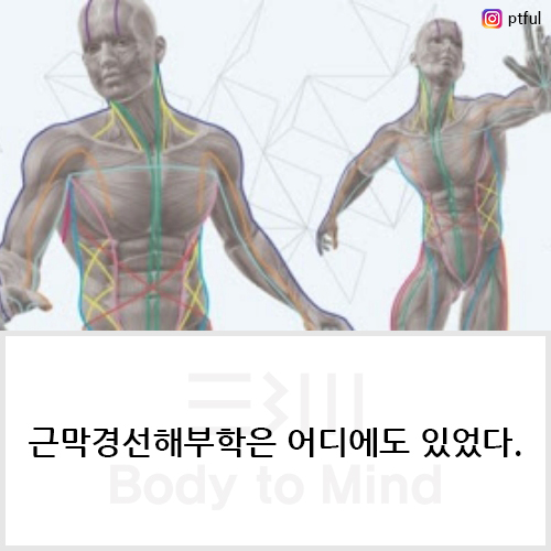  근막경선해부학은 어디에도 있었다.