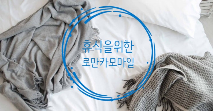  로만카모마일 오일!