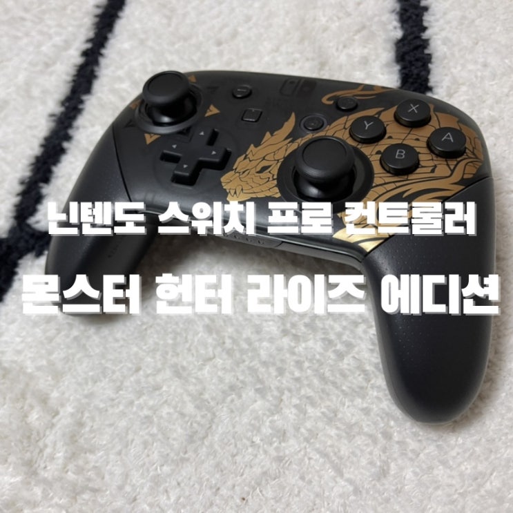  몬스터 헌터 라이즈를 제대로 즐기기 위한 방법! 프로콘을 이용하여 플레이 (몬헌 프로콘 리뷰 & 언박싱)