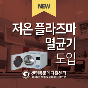  저온 플라즈마 멸균기 (Low Temperature Plasma Sterilizer) 도입 안내 (부산 수영 센텀동물메디컬센터)