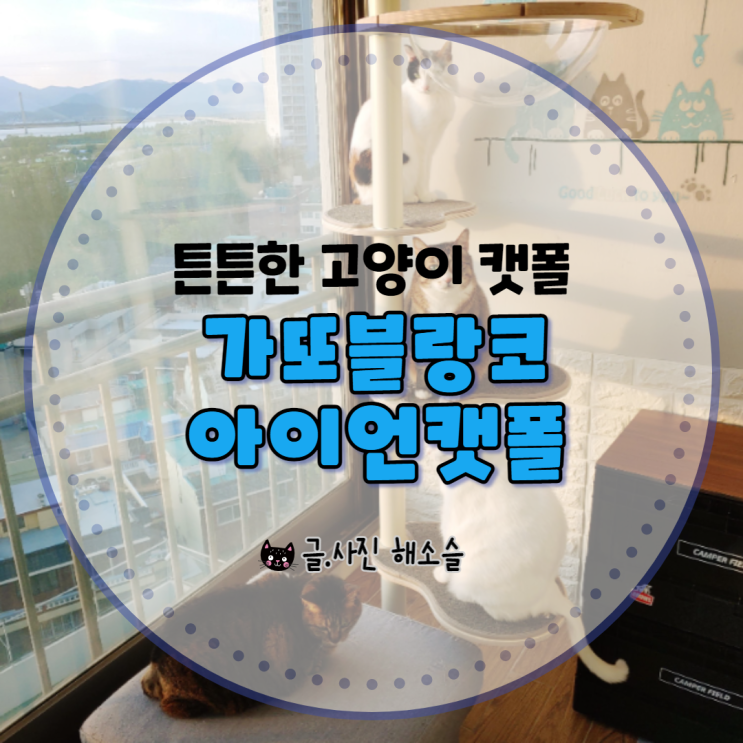  튼튼한 고양이 캣폴, 캣타워 찾으신다면 가또블랑코 아이언캣폴을 추천해요~