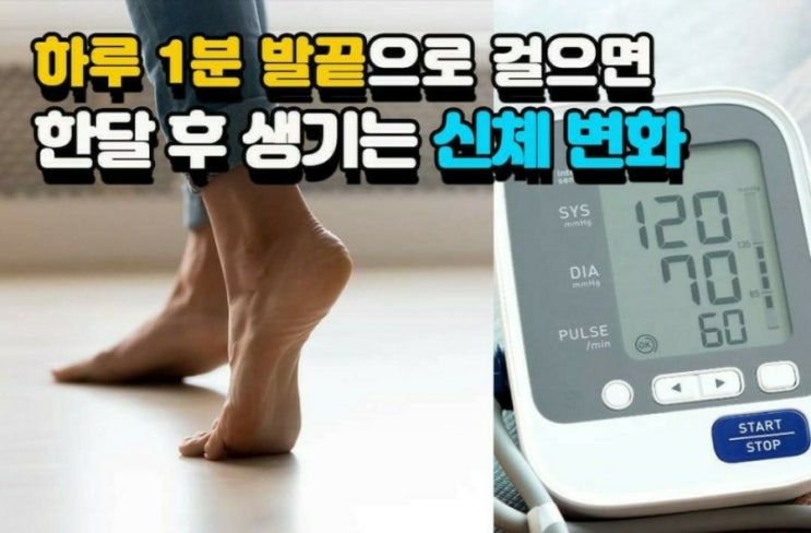  1분 발끝으로 걸으면 한달 후 생기는 신체변화