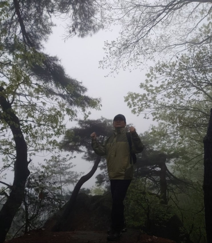 오늘 설봉산의 안개와 조화로움 오늘 설봉산의 안개와 조화로움
