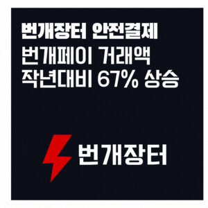  번개장터 안전결제 번개페이 작년대비 거래액 67% 늘어나