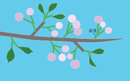  더이상 매화꽃, 벚꽃, 복숭아꽃 헷갈리지 않기
