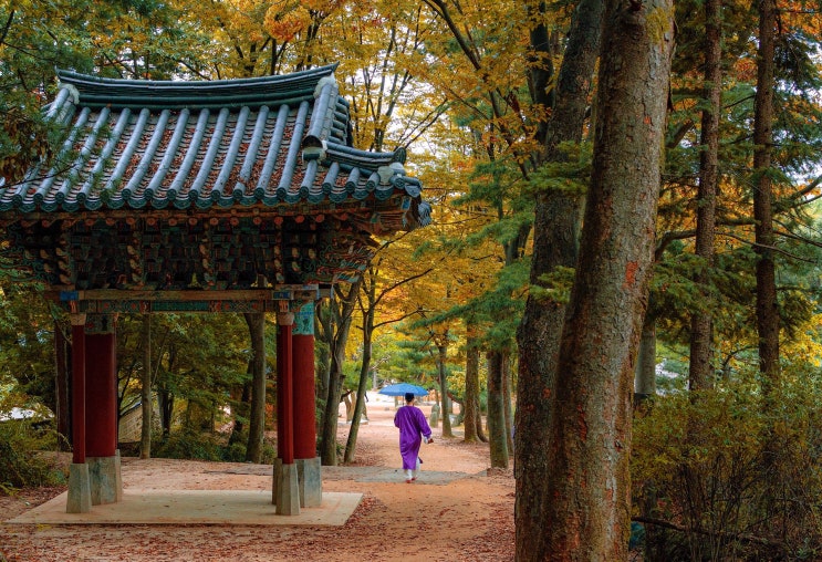 한국민속촌은 소셜 마케팅이 키웠다