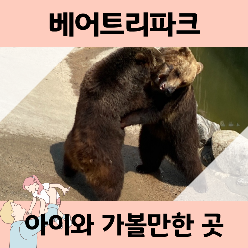  세종 베어트리파크 준비물 꿀팁 아이와 가볼만한 곳
