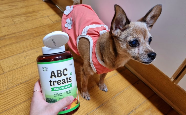 대용량강아지간식 노즈워크 트레이닝스낵 ABC 트릿 대용량강아지간식 노즈워크 트레이닝스낵 ABC 트릿