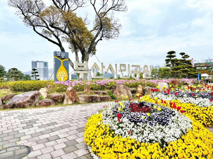  부산여행 3-4일차 - 콘피오, 부산시민공원, 경성대부경대역, 초량밀면, 비엔씨 베이커리