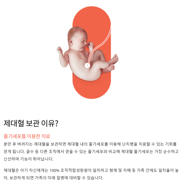 두 아이의 아빠 김동현 선수가 알려주는 출산준비물, 셀트리 제대혈
