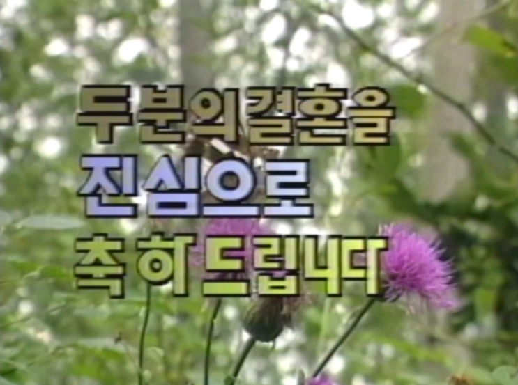  옛날 VHS테이프 비디오변환