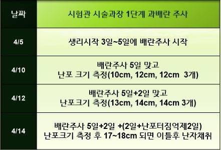 과배란주사 폴리트롭, 시험관 시술과정 기록*