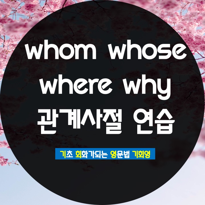 whom whose where 용법 연습 - 기회영